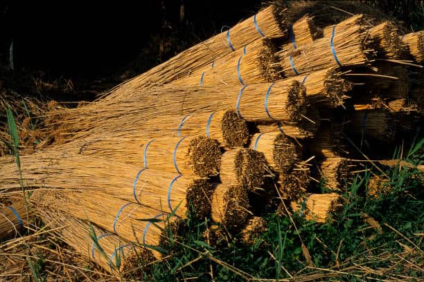 تصویر 2 از خرید حصیر بافی با نی و قیمت فروش استثنایی